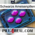 Black Ant Pills 04